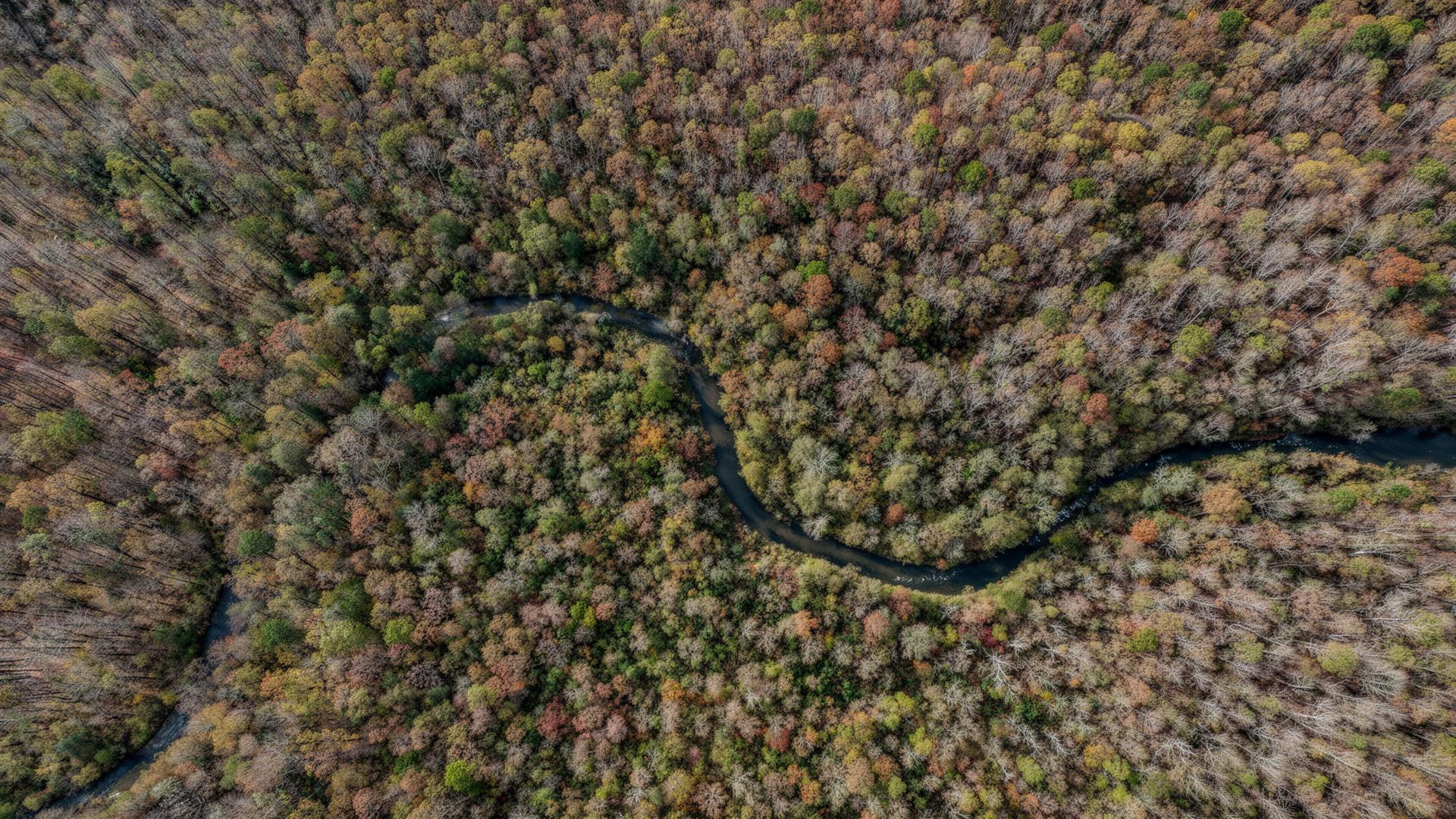 Aerial satellite view of forested hunting terrain